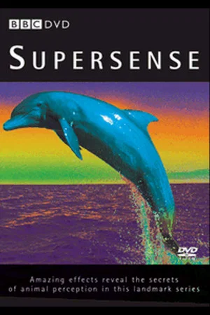 Постер: Supersense