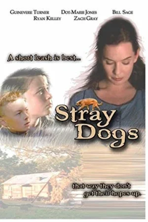Постер: Stray Dogs