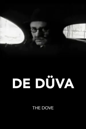 Постер: The Dove