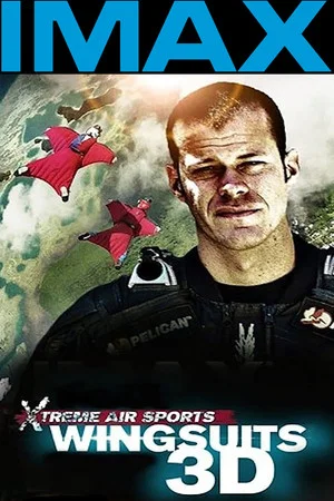 Постер: Wingsuit Warrior