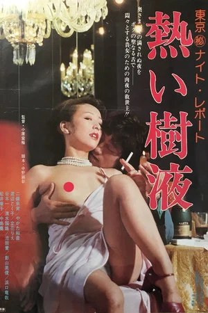 Постер: Tokyo Secret Night Report