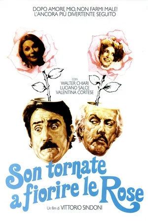 Постер: Son tornate a fiorire le rose