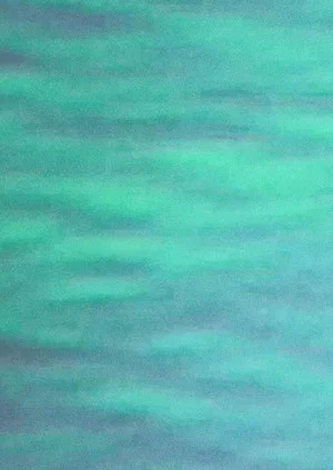 Постер: The Pacific Ocean