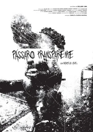 Постер: Pássaro Transparente