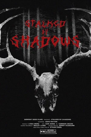 Постер: Stalked by Shadows