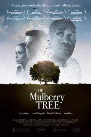 Постер: The Mulberry Tree