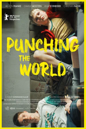 Постер: Punching the World