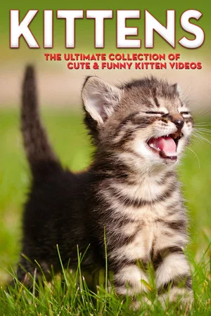 Постер: Kittens The Ultimate Collection of Cute & Funny Kitten Videos