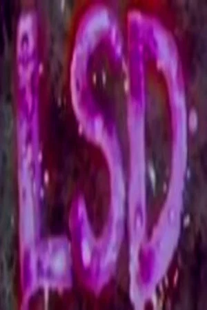Постер: LSD