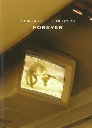 Постер: Coaltar Of The Deepers - Forever
