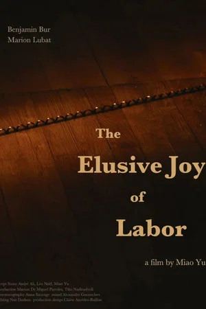 Постер: The Elusive Joy of Labor