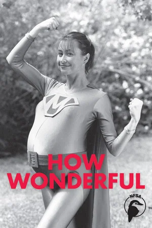 Постер: How Wonderful