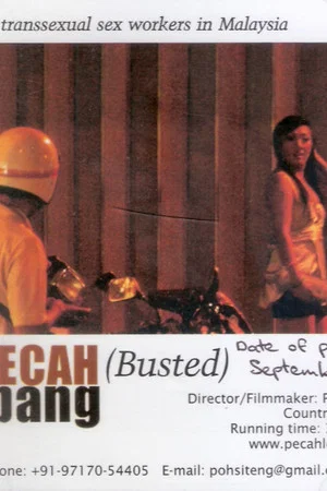 Постер: Busted