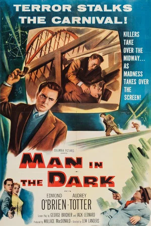 Постер: Man in the Dark