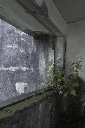 Постер: Hollow