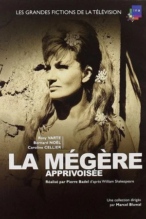 Постер: La Mégère apprivoisée