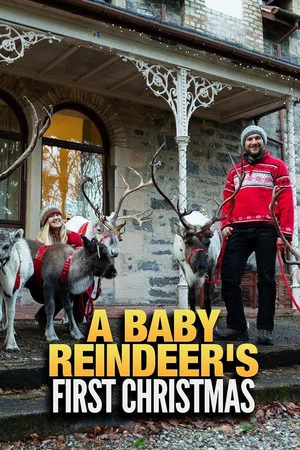 Постер: A Baby Reindeer's First Christmas