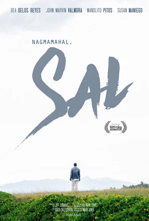 Постер: Love, Sal