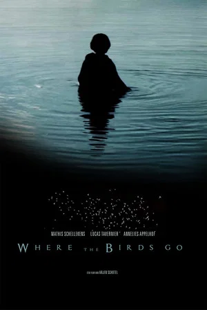Постер: Where the birds go