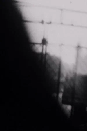 Постер: Double Shutter
