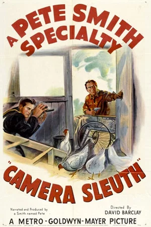 Постер: Camera Sleuth