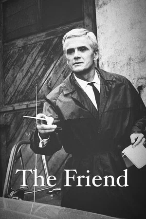 Постер: The Friend