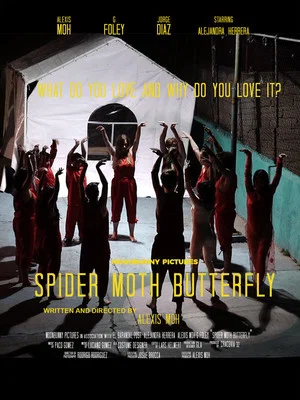 Постер: Spider Moth Butterfly