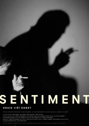 Постер: Sentiment