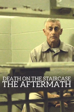 Постер: Death on the Staircase: The Aftermath