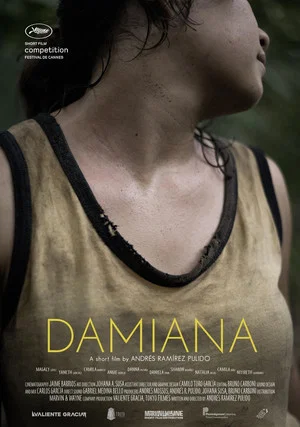 Постер: Damiana