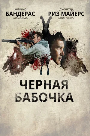 Постер: Черная бабочка