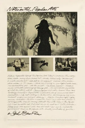 Постер: Notes on the Popular Arts