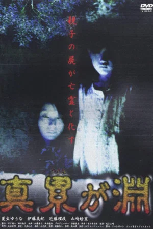 Постер: Shin Kasanegabuchi