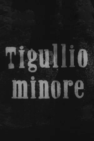 Постер: Tigullio minore