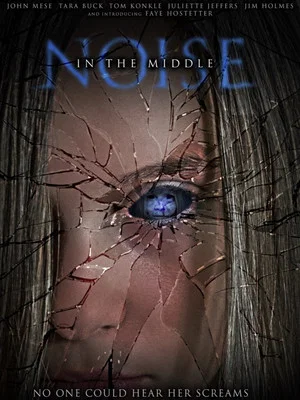 Постер: Noise in the Middle