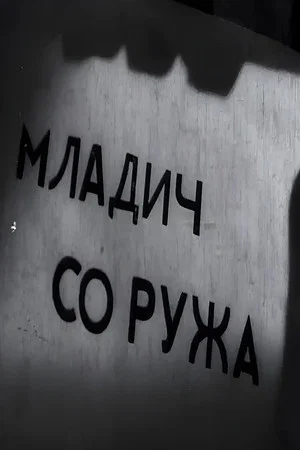 Постер: A Young Man with a Rose