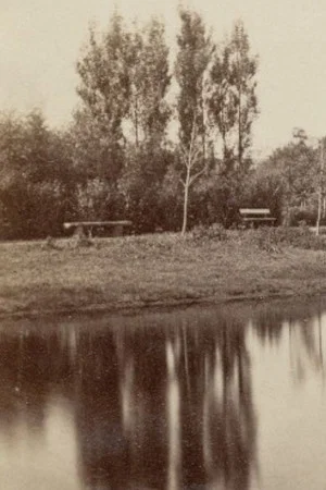 Постер: Poëzie in 't Park