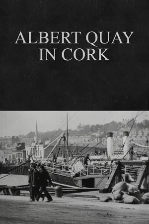Постер: Albert Quay in Cork