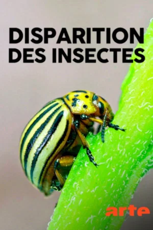 Постер: Das große Insektensterben