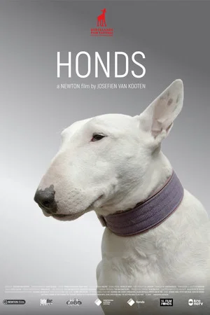 Постер: Honds