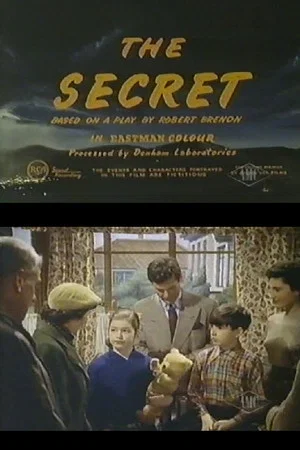 Постер: The Secret