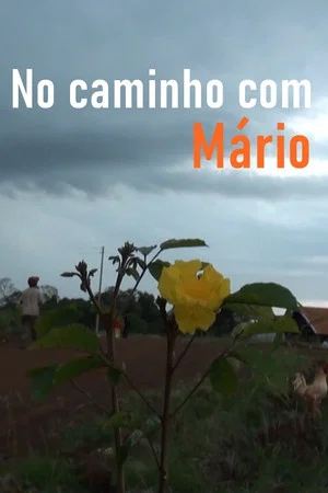 Постер: No Caminho com Mário