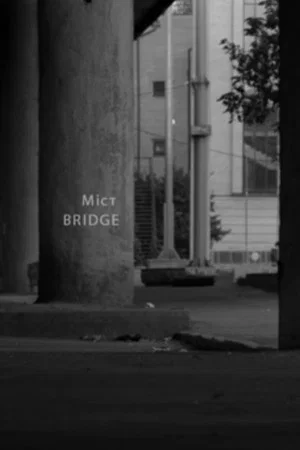 Постер: Bridge