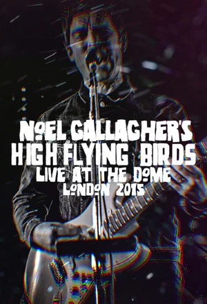 Постер: Noel Gallagher's High Flying Birds - Live at The Dome, London