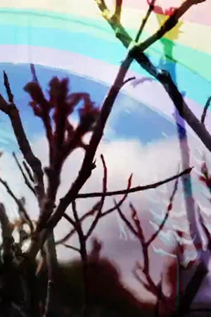 Постер: ROYGBIV