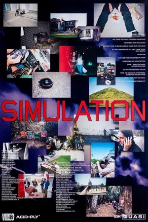 Постер: Quasi Skateboards - Simulation