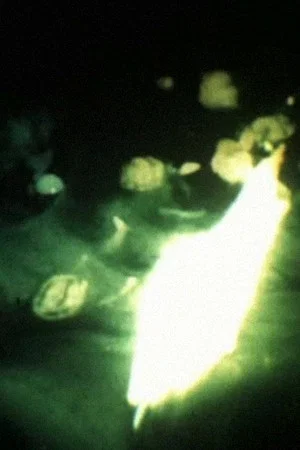 Постер: Bermuda Triangle