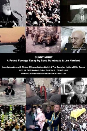 Постер: Sunny Night