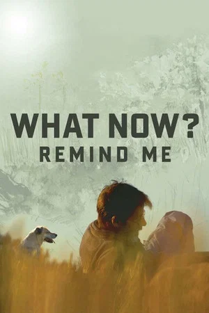 Постер: What Now? Remind Me