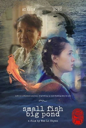 Постер: Small Fish Big Pond